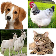 The names of the animals in Ar