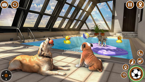 【图】Dog Simulator 3D: Dog Games(截图1)