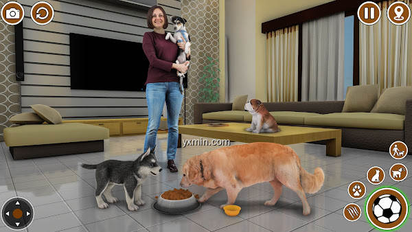 【图】Dog Simulator 3D: Dog Games(截图2)