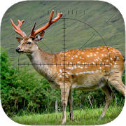 Deer Sniper: Hunting Game Deer Sniper: Hunting Game