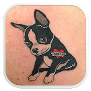 Dog Tattoo Designs Dog Tattoo Designs