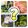 4 Pics 1 Word-English