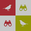 Turdus